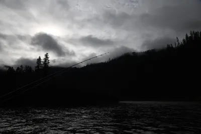 DSC_0201 (Large).JPG